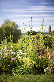 HH-garden-07.jpg